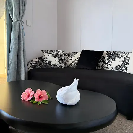 Room With A View & Apartment Style-2